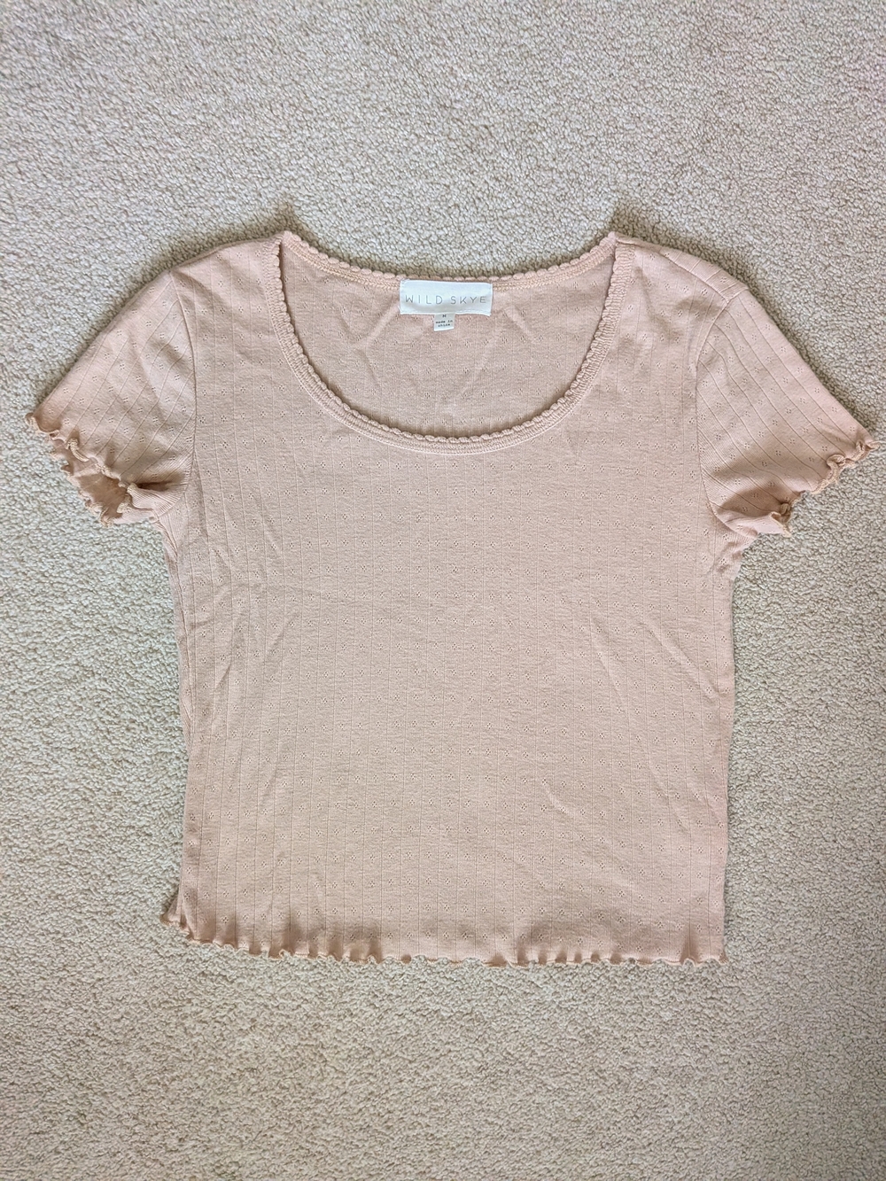 Blush Pointelle Scoop Neck Top